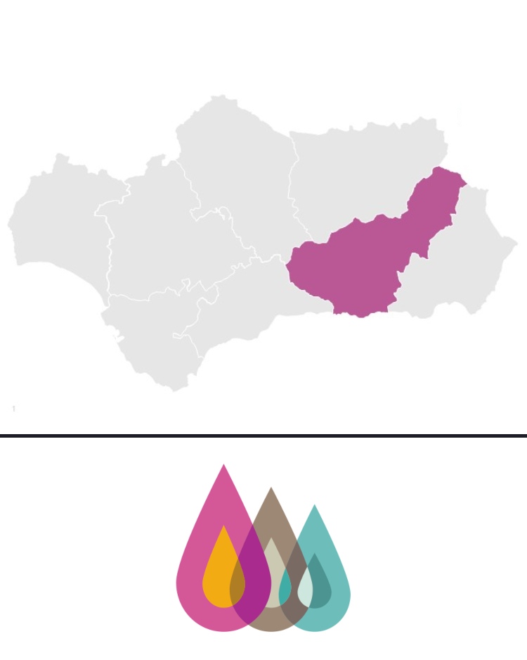 ¿Por que elegirnos – granada y provincia