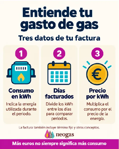cuánto consume una caldera de gas